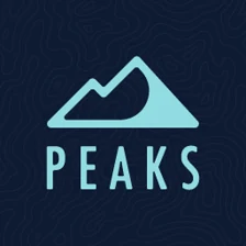 Peaks Digital Marketing logo