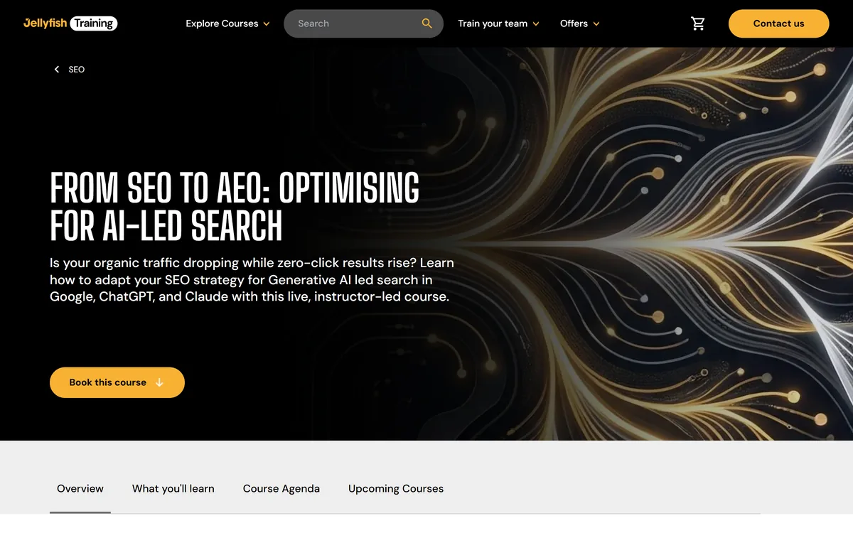 jellyfish from seo to aeo training
